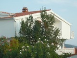 House and terraces
